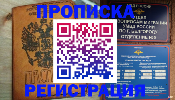 прописка для работы в Димитровграде
